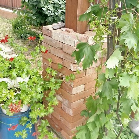 Oereghaz Vendeghaz Appartement Lakhegy Buitenkant foto