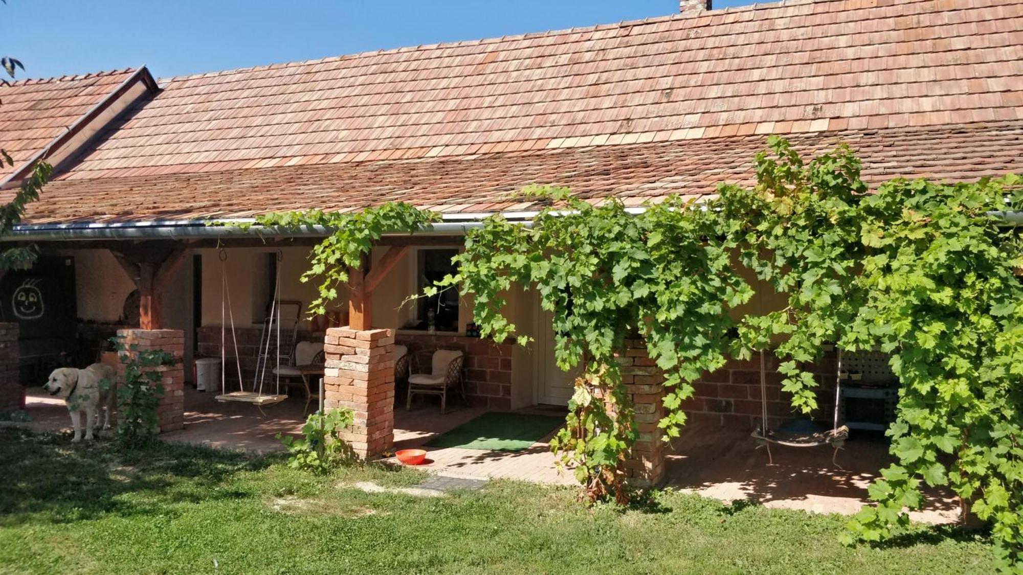 Oereghaz Vendeghaz Appartement Lakhegy Buitenkant foto