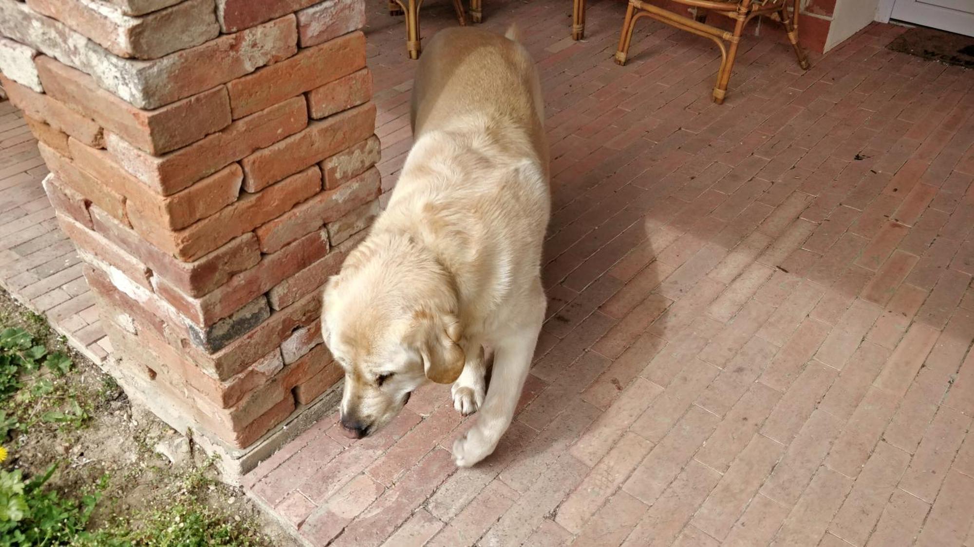 Oereghaz Vendeghaz Appartement Lakhegy Buitenkant foto