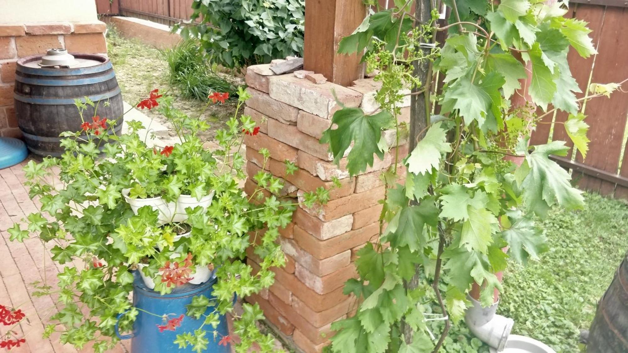 Oereghaz Vendeghaz Appartement Lakhegy Buitenkant foto