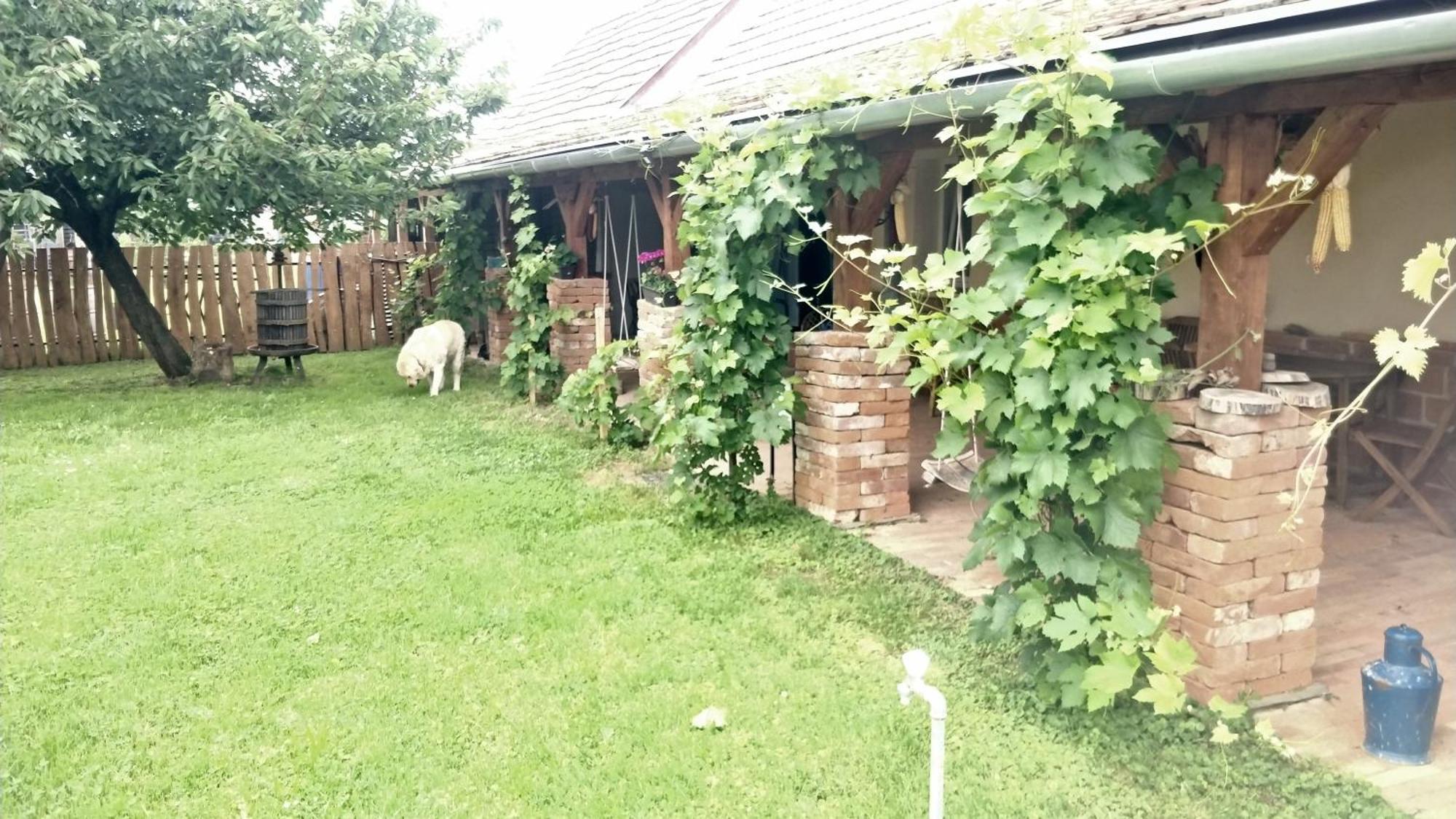 Oereghaz Vendeghaz Appartement Lakhegy Buitenkant foto